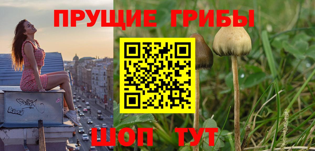 Муравленко  Галлюциногенные грибы мухоморы  Галлюциногенные грибы прущие грибы  Вход с VPN 
